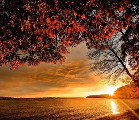 Grazia 4* Capo Vaticano