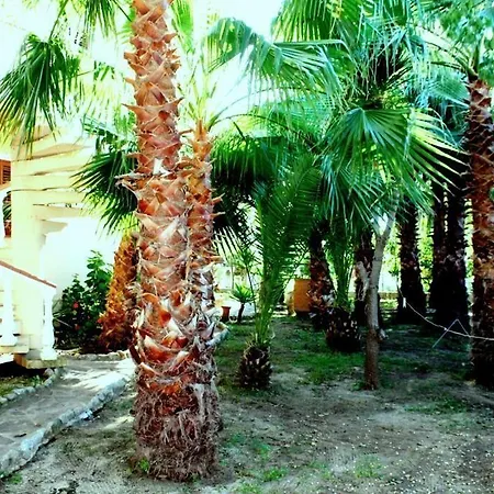 Maison d'hôtes Grazia 4*